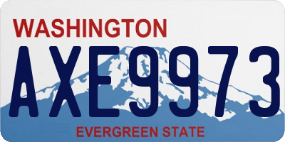 WA license plate AXE9973