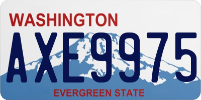 WA license plate AXE9975