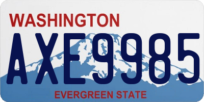WA license plate AXE9985