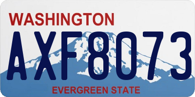 WA license plate AXF8073