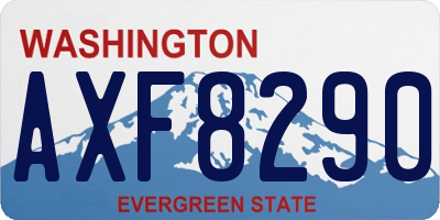 WA license plate AXF8290