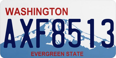 WA license plate AXF8513