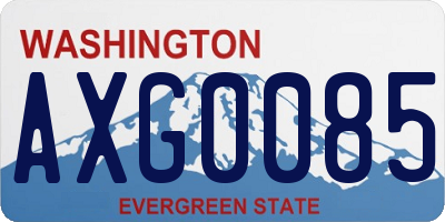 WA license plate AXG0085