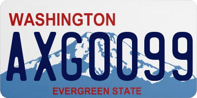 WA license plate AXG0099