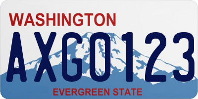 WA license plate AXG0123