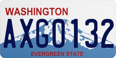 WA license plate AXG0132