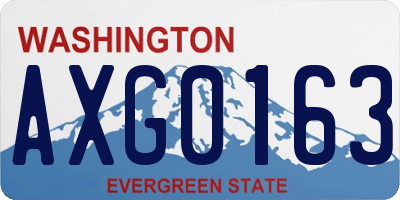 WA license plate AXG0163