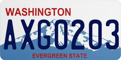 WA license plate AXG0203