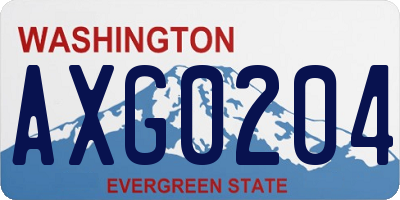 WA license plate AXG0204