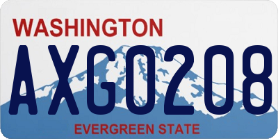 WA license plate AXG0208