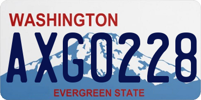 WA license plate AXG0228