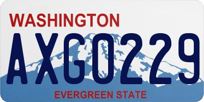 WA license plate AXG0229