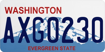 WA license plate AXG0230