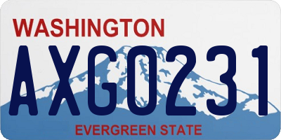WA license plate AXG0231