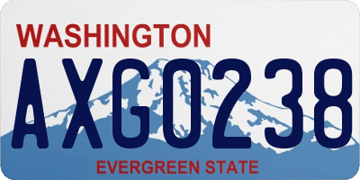 WA license plate AXG0238