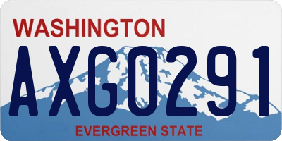 WA license plate AXG0291
