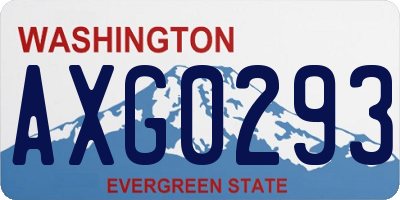 WA license plate AXG0293