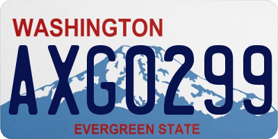 WA license plate AXG0299