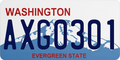WA license plate AXG0301
