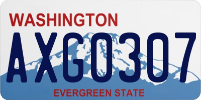 WA license plate AXG0307