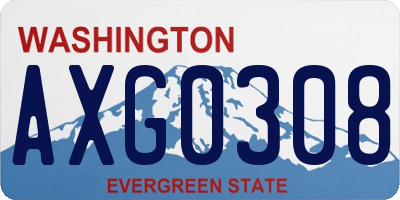WA license plate AXG0308