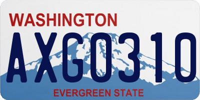 WA license plate AXG0310