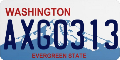 WA license plate AXG0313