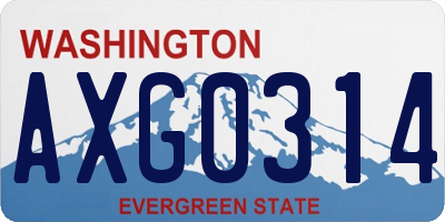 WA license plate AXG0314