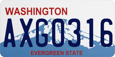 WA license plate AXG0316