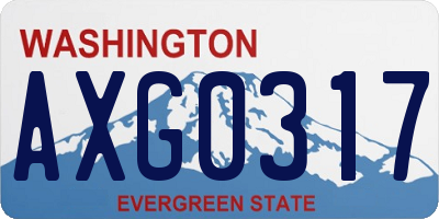 WA license plate AXG0317