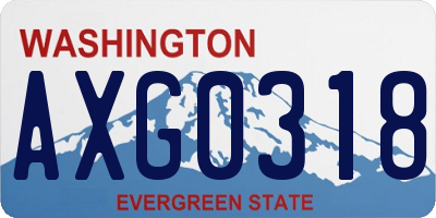 WA license plate AXG0318