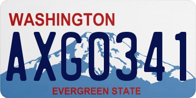 WA license plate AXG0341