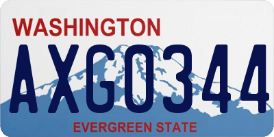 WA license plate AXG0344