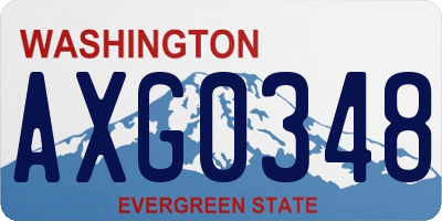 WA license plate AXG0348