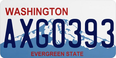 WA license plate AXG0393