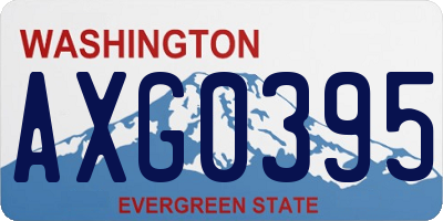 WA license plate AXG0395