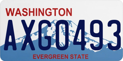 WA license plate AXG0493