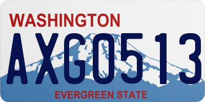 WA license plate AXG0513
