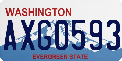 WA license plate AXG0593