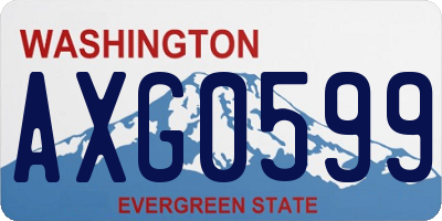 WA license plate AXG0599