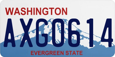 WA license plate AXG0614