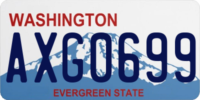 WA license plate AXG0699