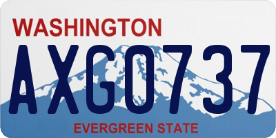 WA license plate AXG0737