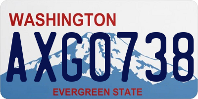 WA license plate AXG0738