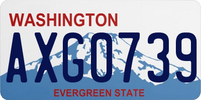 WA license plate AXG0739