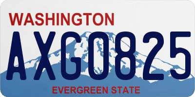WA license plate AXG0825