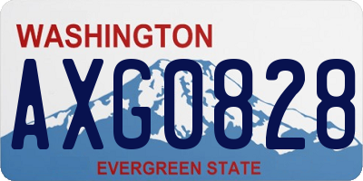 WA license plate AXG0828