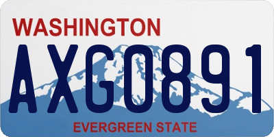 WA license plate AXG0891