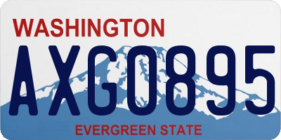 WA license plate AXG0895