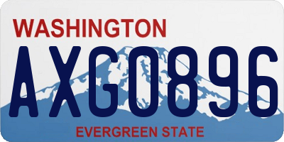 WA license plate AXG0896